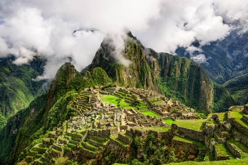 a close up of a lush green hillside with Machu Picchu in the background